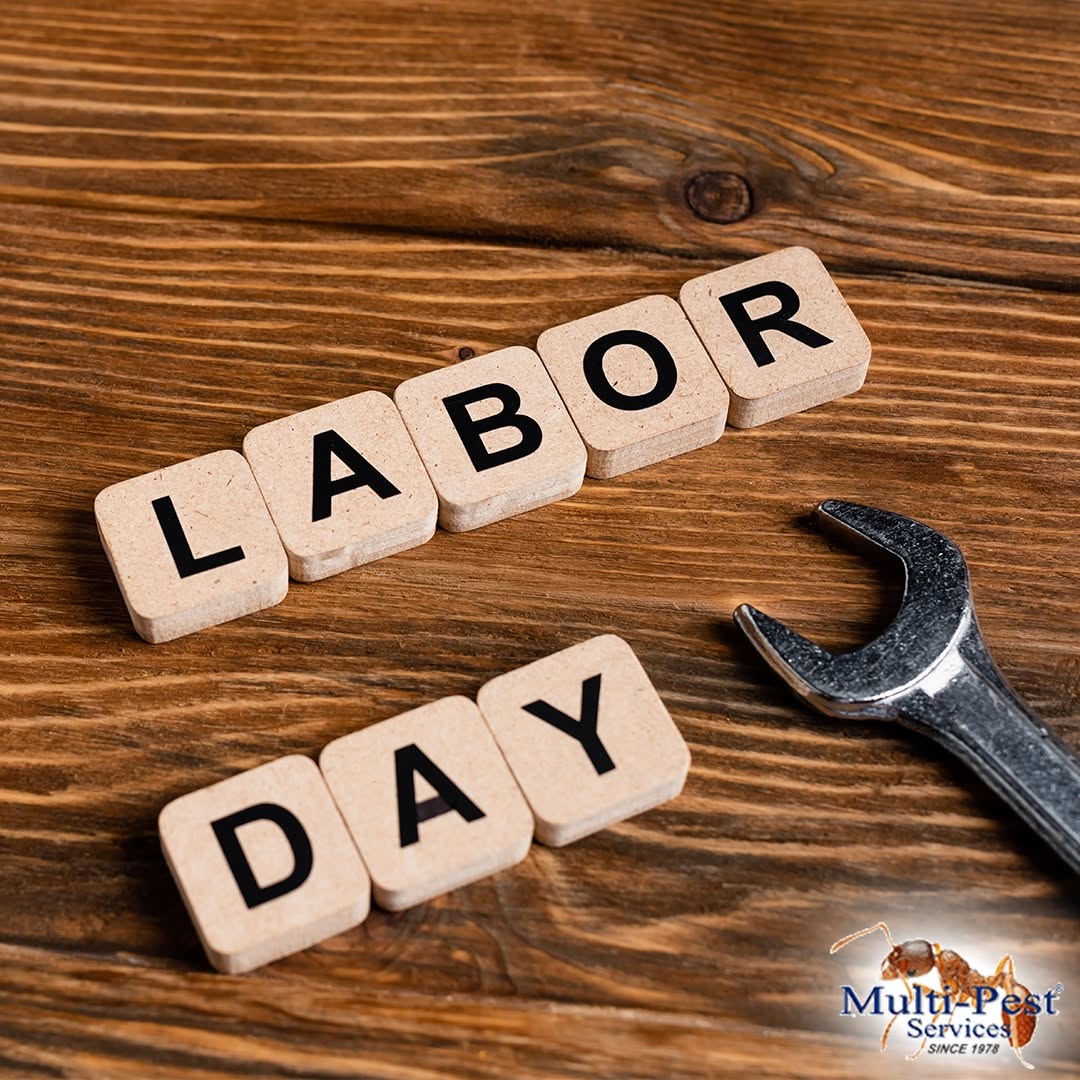 Labor Day Holiday Hours 2026