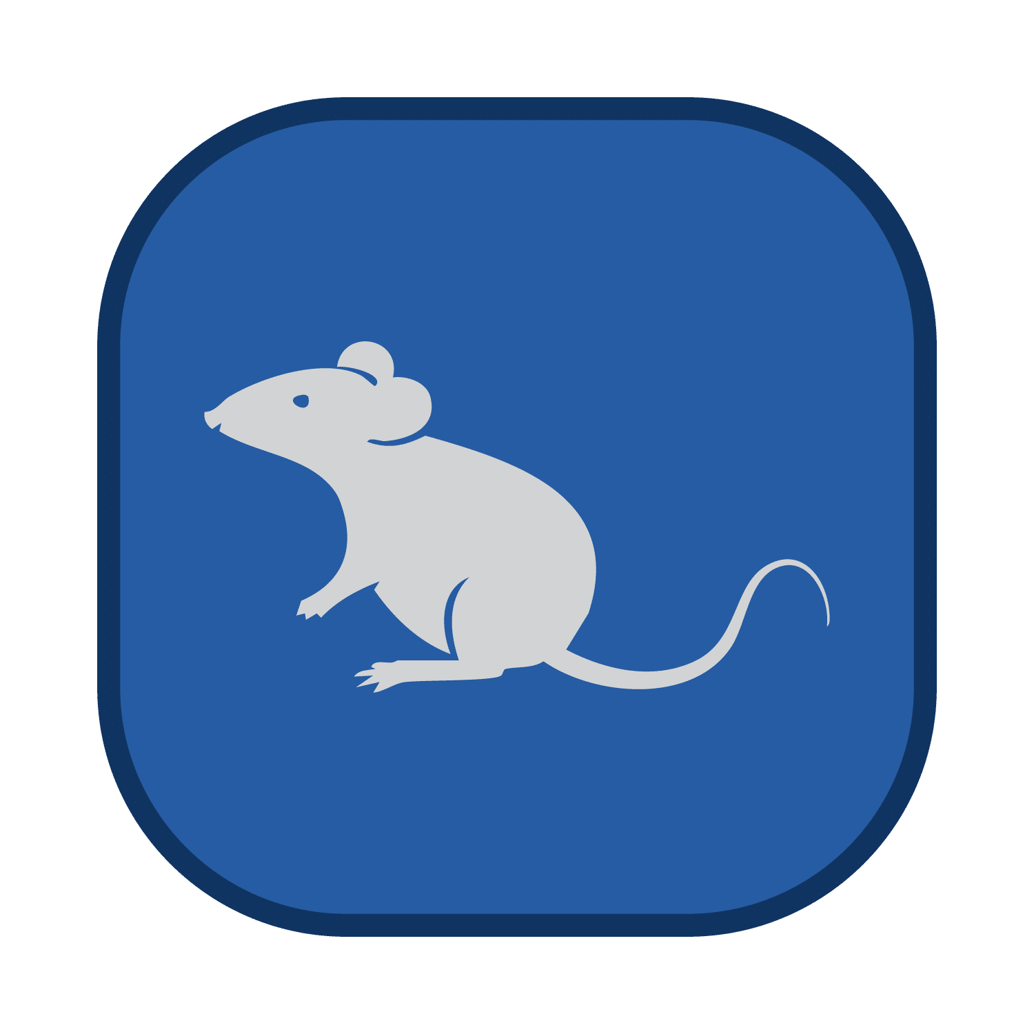 Rodent Control Services Icon using orange brand color